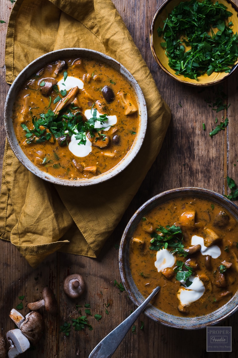 hungarian soup hungarian soup