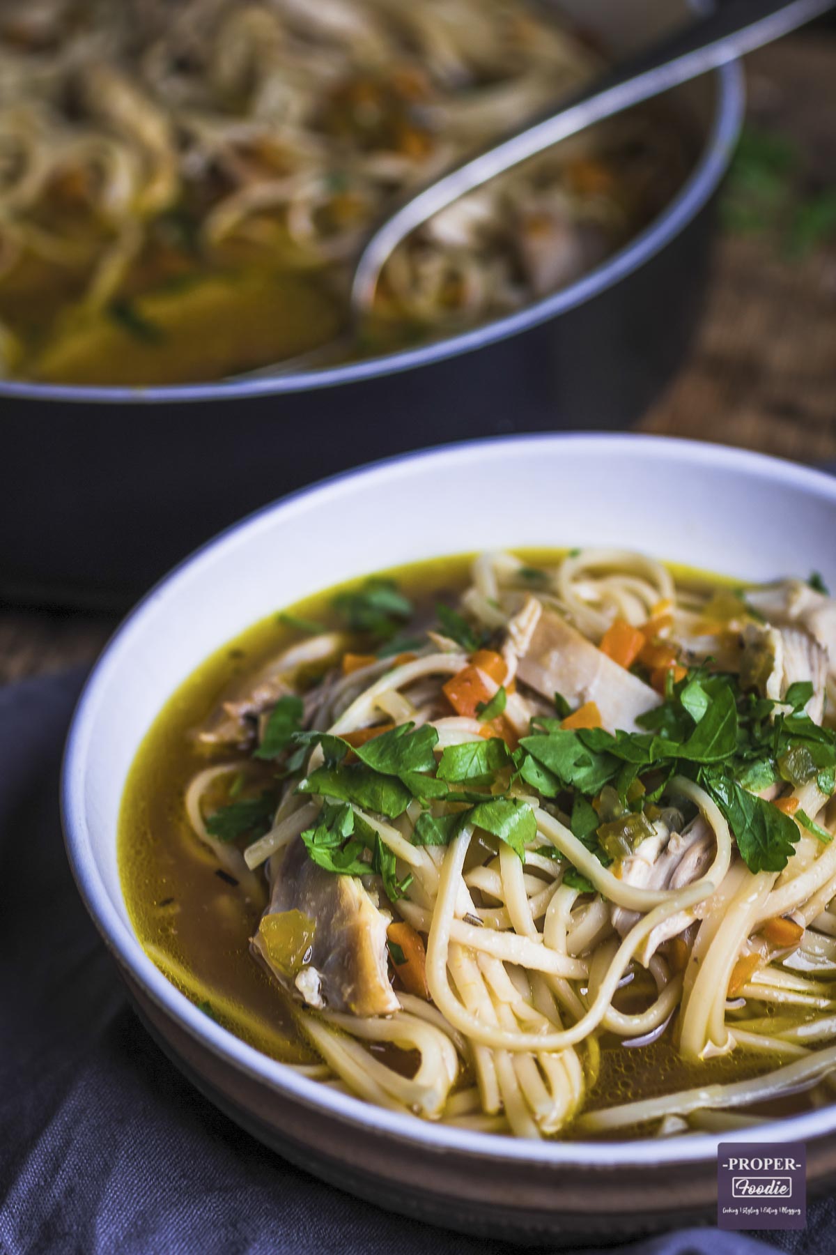 Leftover shredded chicken with noodles and chicken broth soup.